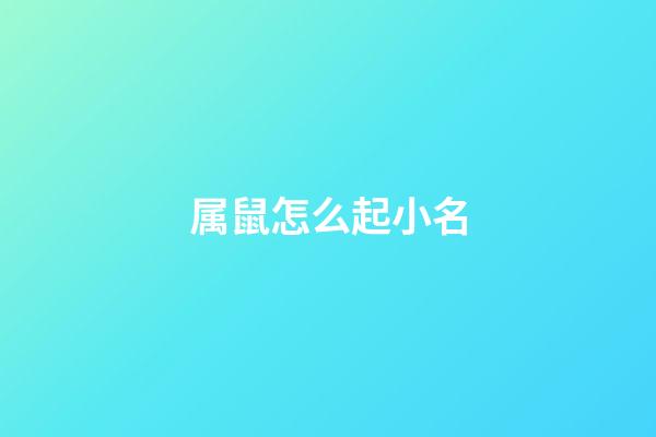 属鼠怎么起小名(属鼠起什么小名好听)-第1张-宝宝起名-玄机派