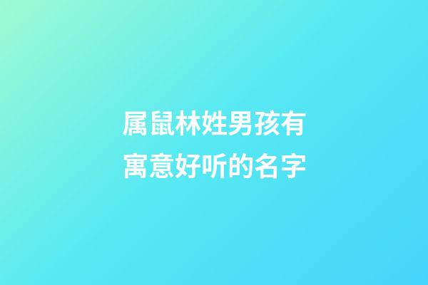 属鼠林姓男孩有寓意好听的名字