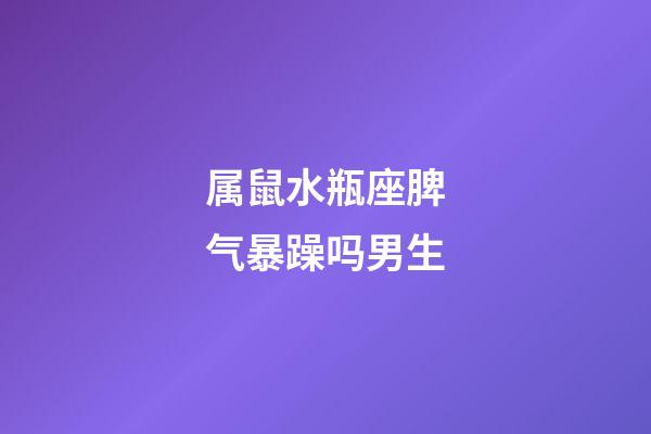 属鼠水瓶座脾气暴躁吗男生-第1张-星座运势-玄机派