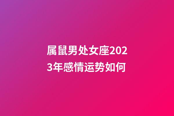 属鼠男处女座2023年感情运势如何-第1张-星座运势-玄机派