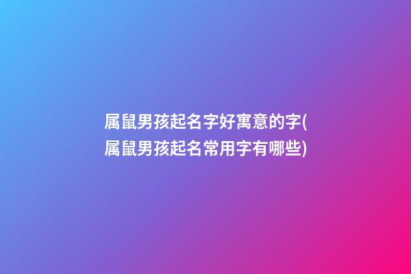 属鼠男孩起名字好寓意的字(属鼠男孩起名常用字有哪些)