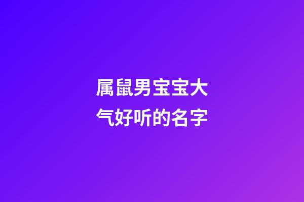 属鼠男宝宝大气好听的名字