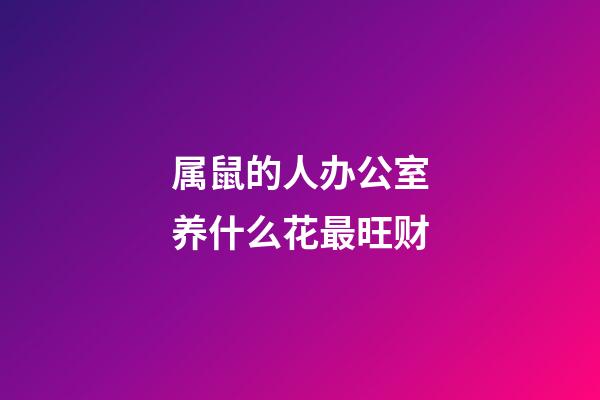 属鼠的人办公室养什么花最旺财