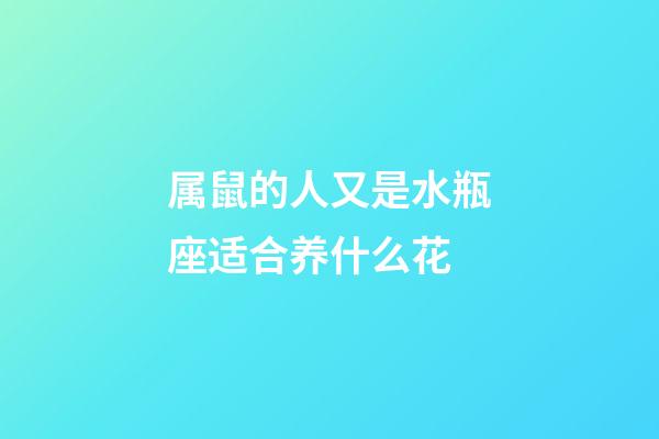 属鼠的人又是水瓶座适合养什么花-第1张-星座运势-玄机派