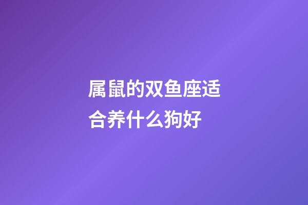 属鼠的双鱼座适合养什么狗好-第1张-星座运势-玄机派