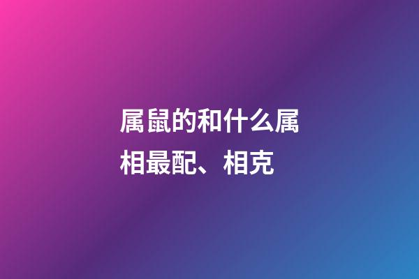 属鼠的和什么属相最配、相克（老鼠最忌讳的三个属相）-第1张-星座运势-玄机派