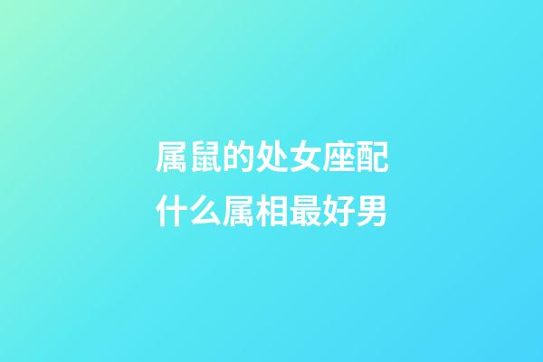 属鼠的处女座配什么属相最好男-第1张-星座运势-玄机派