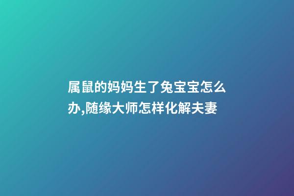 属鼠的妈妈生了兔宝宝怎么办,随缘大师怎样化解夫妻-第1张-观点-玄机派