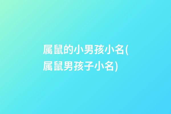 属鼠的小男孩小名(属鼠男孩子小名)