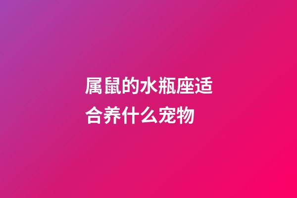属鼠的水瓶座适合养什么宠物-第1张-星座运势-玄机派