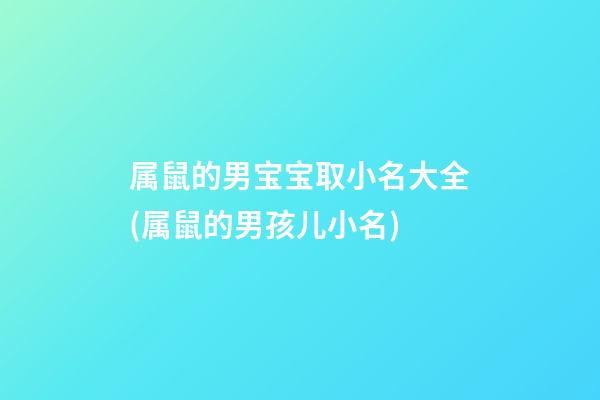 属鼠的男宝宝取小名大全(属鼠的男孩儿小名)