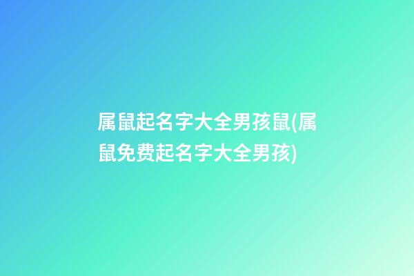 属鼠起名字大全男孩鼠(属鼠免费起名字大全男孩)