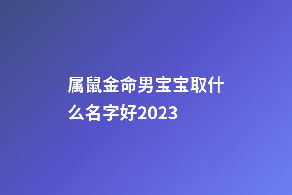 属鼠金命男宝宝取什么名字好2023