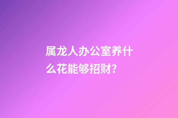 属龙人办公室养什么花能够招财？