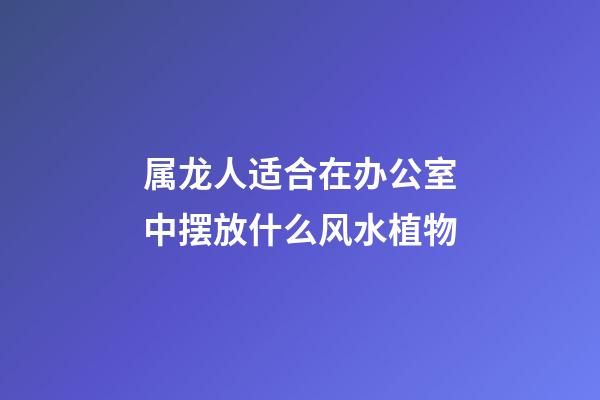 属龙人适合在办公室中摆放什么风水植物