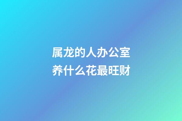 属龙的人办公室养什么花最旺财