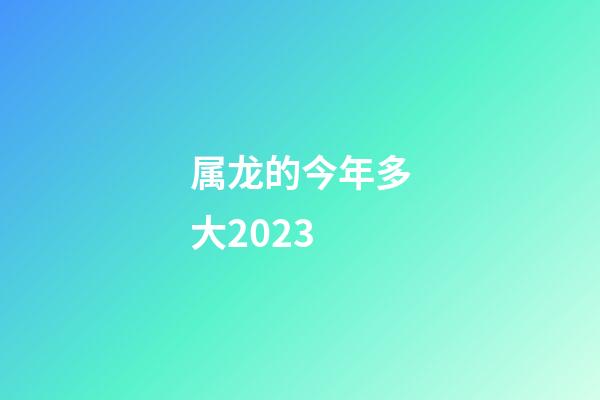属龙的今年多大2023