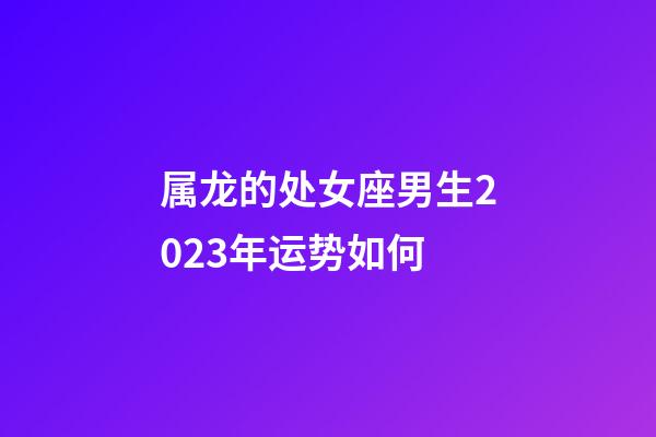 属龙的处女座男生2023年运势如何-第1张-星座运势-玄机派