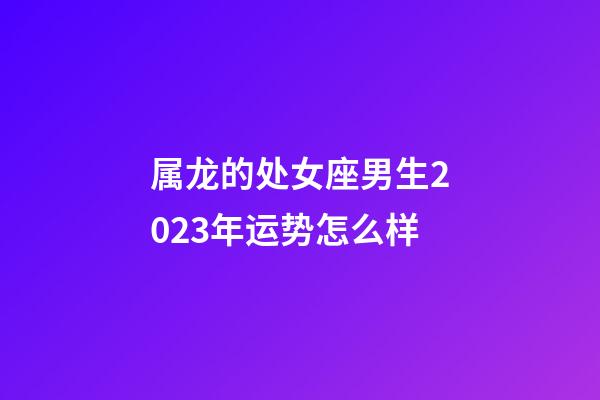 属龙的处女座男生2023年运势怎么样-第1张-星座运势-玄机派
