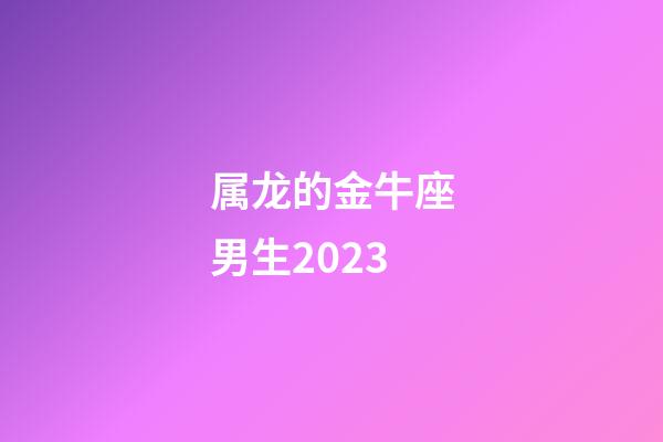 属龙的金牛座男生2023-第1张-星座运势-玄机派