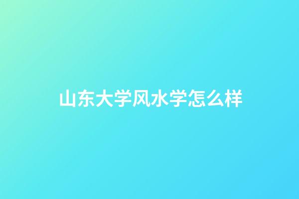 山东大学风水学怎么样