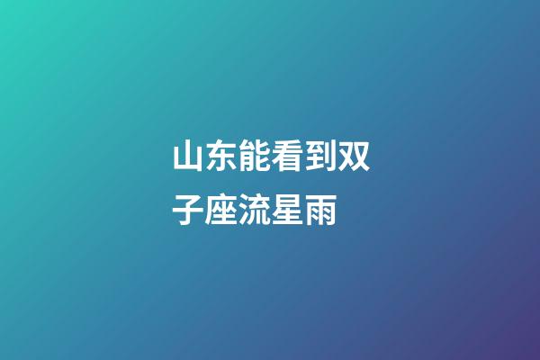山东能看到双子座流星雨-第1张-星座运势-玄机派