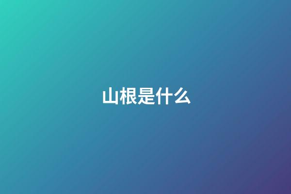 山根是什么