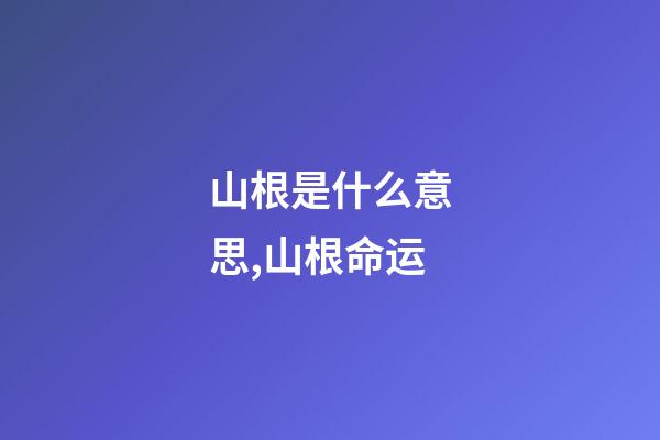 山根是什么意思,山根命运