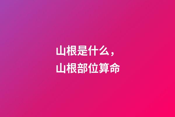 山根是什么，山根部位算命
