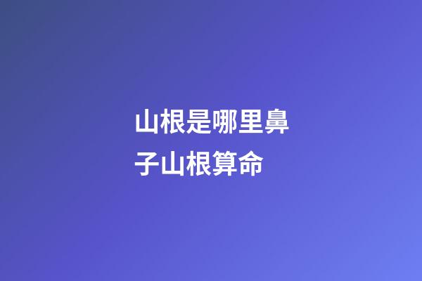 山根是哪里?鼻子山根算命