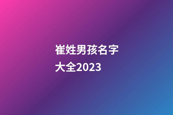 崔姓男孩名字大全2023