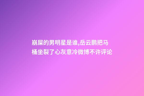 崩屎的男明星是谁,岳云鹏把马桶坐裂了心灰意冷微博不许评论-第1张-观点-玄机派