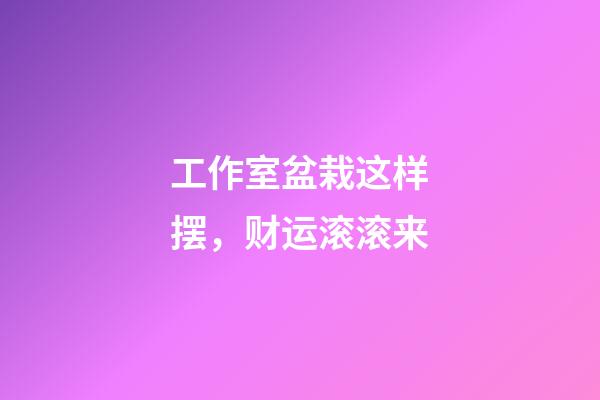 工作室盆栽这样摆，财运滚滚来