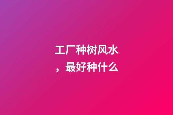 工厂种树风水，最好种什么