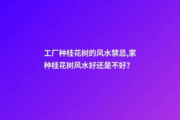 工厂种桂花树的风水禁忌,家种桂花树风水好还是不好？