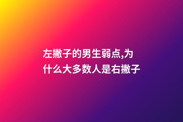 左撇子的男生弱点,为什么大多数人是右撇子-第1张-观点-玄机派