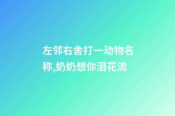 左邻右舍打一动物名称,奶奶想你泪花流-第1张-观点-玄机派