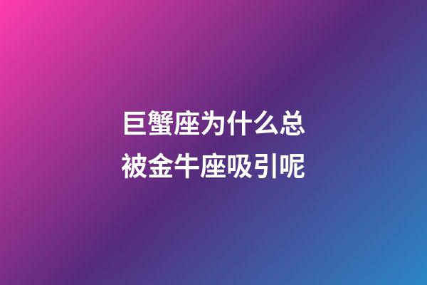 巨蟹座为什么总被金牛座吸引呢-第1张-星座运势-玄机派