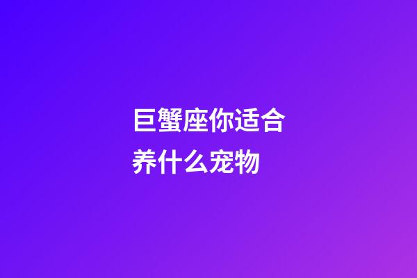 巨蟹座你适合养什么宠物-第1张-星座运势-玄机派