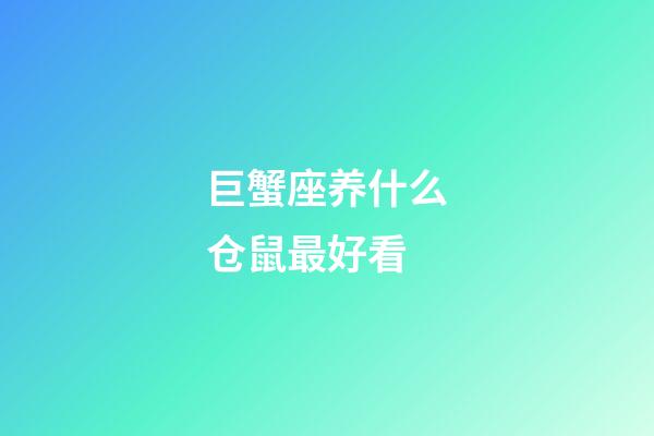 巨蟹座养什么仓鼠最好看