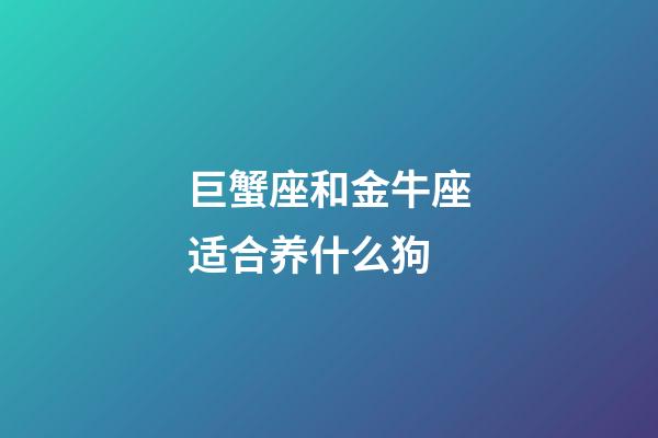 巨蟹座和金牛座适合养什么狗-第1张-星座运势-玄机派