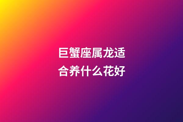 巨蟹座属龙适合养什么花好-第1张-星座运势-玄机派