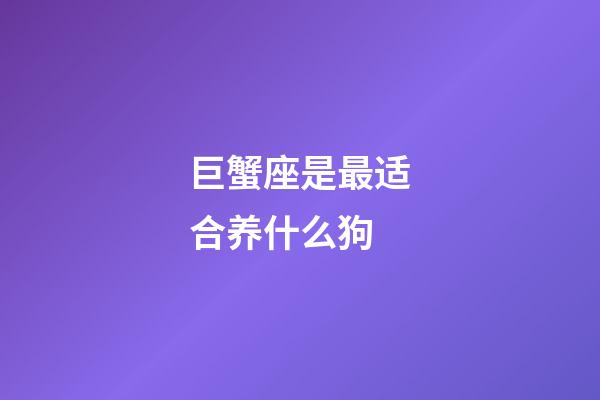 巨蟹座是最适合养什么狗-第1张-星座运势-玄机派