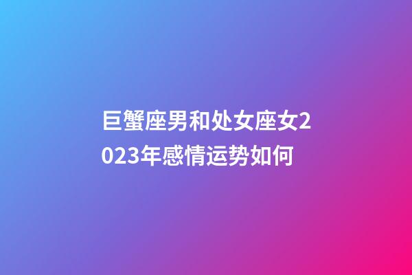 巨蟹座男和处女座女2023年感情运势如何-第1张-星座运势-玄机派