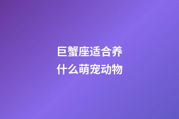 巨蟹座适合养什么萌宠动物-第1张-星座运势-玄机派