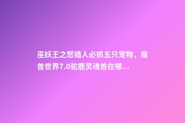 巫妖王之怒猎人必抓五只宠物，魔兽世界7.0驼鹿灵魂兽在哪刷新-第1张-观点-玄机派