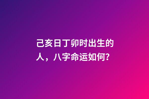 己亥日丁卯时出生的人，八字命运如何？