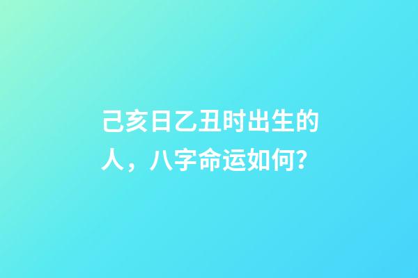 己亥日乙丑时出生的人，八字命运如何？