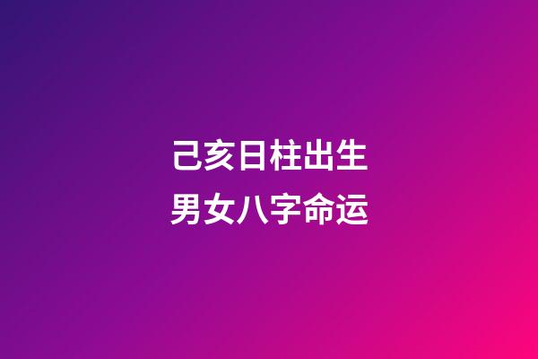 己亥日柱出生男女八字命运