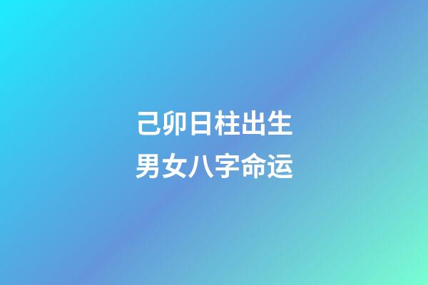 己卯日柱出生男女八字命运